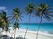 Aerial View Over the Beach at St.Philip Parish on the Atlantic Coast, Barbados, Caribbean Photographic Poster Print