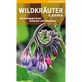 Wildkr�uter und Beeren: Die wichtigsten Arten entdecken und bestimmen (GU Naturf�hrer 2012)