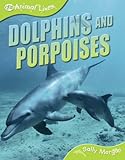 Dolphins and porpoises