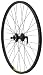 Avenir 32H Alloy QR 26 Inch x 1.5 Inch Disc Brake Black/Black Wheel (Front)