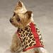 Safari Harness Vest Dog Puppy Clothes SM by Zack & Zoey