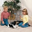 Midwest Life Stages Single-Door Folding Metal Dog Crate, 24 Inches by 18 Inches by 21 Inches