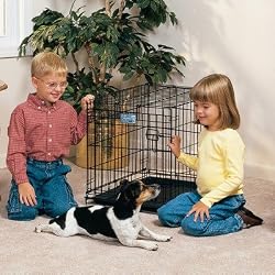 Midwest Life Stages Single-Door Folding Metal Dog Crate, 24 Inches by 18 Inches by 21 Inches