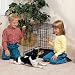 Midwest Life Stages Single-Door Folding Metal Dog Crate, 24 Inches by 18 Inches by 21 Inches