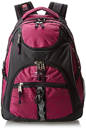 High Sierra Access Backpack