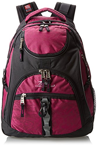 High Sierra Access Backpack