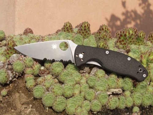 Spyderco Tenacious / C122gp Couteau de poche Noir
