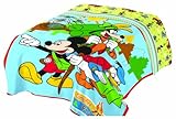 Disney Mickey Mouse Club Campfire Micro Raschel Blanket