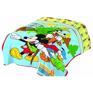 Disney Mickey Mouse Club Campfire Micro Raschel Blanket