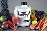 Omega O2 Juicer