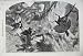 1859 PHEASANT SHOOTING BIRD MAN RIFLE GUN DOG COUNTRY