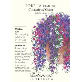 Heirloom Lobelia Cascade of Color Seeds 350 Seeds