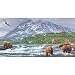 Absolute Alaska, 500 Piece