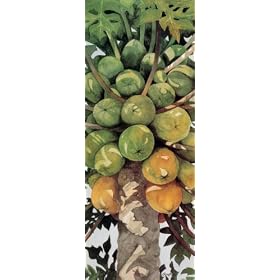 Penny Gupton (Papayas) Art Poster Print - 8" X 20"