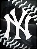 New York Yankees MLB Royal Plush Raschel Blanket (Flash Series) (60x80)