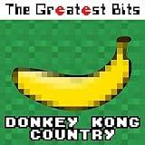 Donkey Kong Country