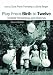 Play from Birth to Twelve: Contexts, Perspectives, and Meanings