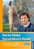 Sprachkurs Hund: Körpersprache verstehen, richtig kommunizieren