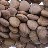 Wood Jasper : Heart-Plain - 12mm Diameter, No Grade - Sold by: 12 Inch Strand. with Angel Mountain Beads Heart Charm (.625 x .570 inches)