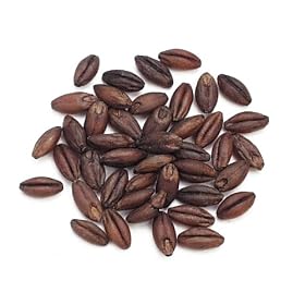 Barley, Black - 12 Oz Bag Each