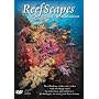 Reefscapes: Nature's Aquarium