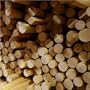 58" Manau Rattan Pole for SCA 1.25" 2pc