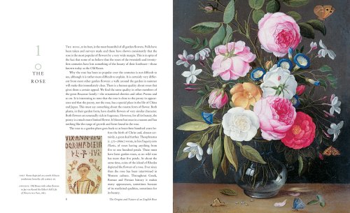 The English Roses: Classic Favorites and New Selections under Outdoor & Recreational Areas in The Books Store