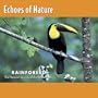 Echoes of Nature: Rainforest