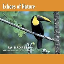 Echoes of Nature: Rainforest