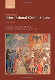 Cassese's International Criminal Law