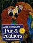 Fur and Feathers (Keys to Painting)