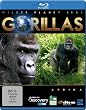 Wilder Planet Erde: Afrika - Gorillas [Blu-ray]