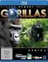 Wilder Planet Erde: Afrika - Gorillas [Blu-ray]
