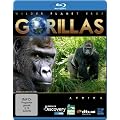 Wilder Planet Erde: Afrika - Gorillas [Blu-ray]