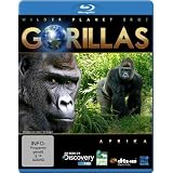 Wilder Planet Erde: Afrika - Gorillas [Blu-ray]von "Chloe Cipoletta"