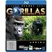 Wilder Planet Erde: Afrika - Gorillas [Blu-ray]
