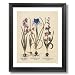 Solid Wood Black Framed French Iris Flower Bulb Irises Contemporary Pictures Art Print