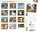 For the Love of Welsh Corgis 2016 Calendar