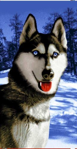 Husky Towel Alaska Minshka Siberian Wonder Beach Towel