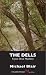 The Dells: A Joe Shoe Mystery
