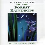 Forest Raindrops