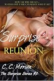 A Surprise Reunion (The Surprise Series Book 2)
