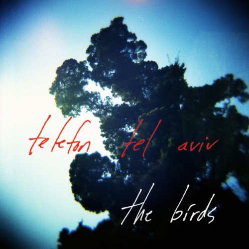 Produkt-Bild: The Birds (Matthew Dear & E.Allien Rmx) [Vinyl Maxi-Single]