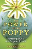 The Power of the Poppy: Harnessing Natures Most Dangerous Plant Ally
