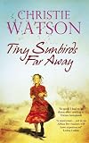 "Tiny Sunbirds Far Away" av Christie Watson