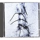 INFLICTION