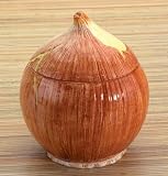Yellow Onion Ceramic Storage Container by Home Gourmet