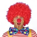 Clown Perücke - Kostümzubehör