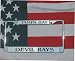 TAMPA BAY DEVIL RAYS LASER ENGRAVED LICENSE PLATE FRAME CHROME BASEBALL