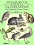 Treasury of Animal Illustrations: From Eighteenth-Century Sources (Dover Pictorial Archive)